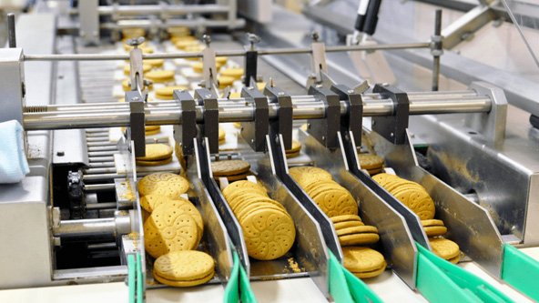Food Processing Machine
